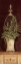 Picture of OLIVE TOPIARY II