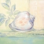 Picture of TRANQUIL SEASHELLS I