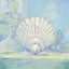 Picture of TRANQUIL SEASHELL IV