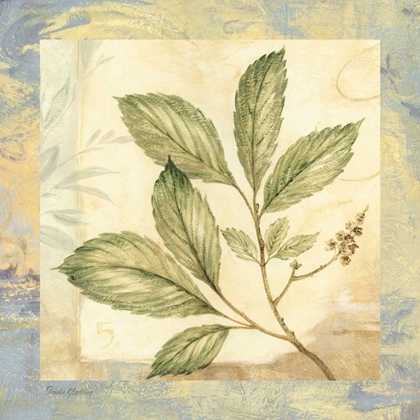 Picture of LEAF BOTANICALS II