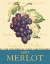 Picture of MERLOT
