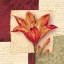 Picture of BELLA DONNA IV