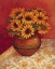 Picture of TUSCAN SUNFLOWERS I