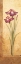 Picture of GRANDIFLORA I
