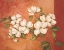 Picture of DOGWOODS