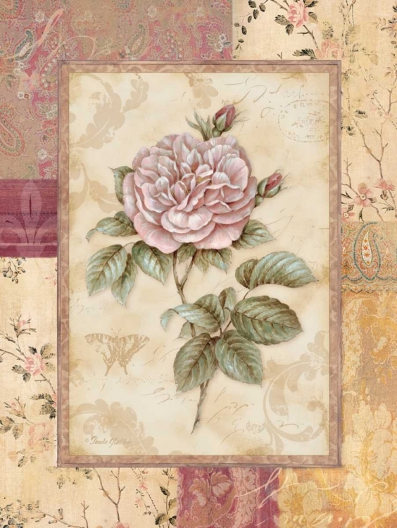 Picture of PROVENCE ROSE II