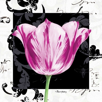 Picture of DAMASK TULIP I