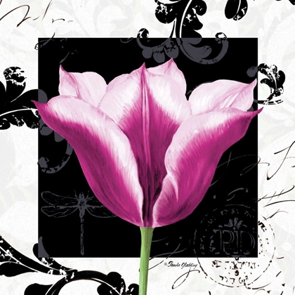Picture of DAMASK TULIP III