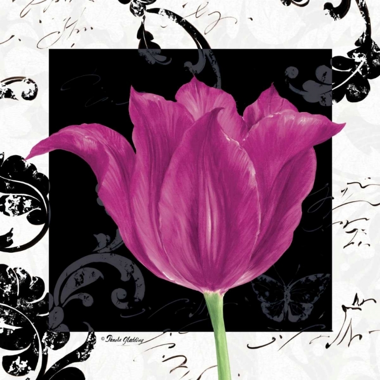 Picture of DAMASK TULIP IV