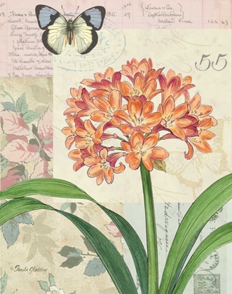 Picture of CLIVIA FLORAL COLLAGE