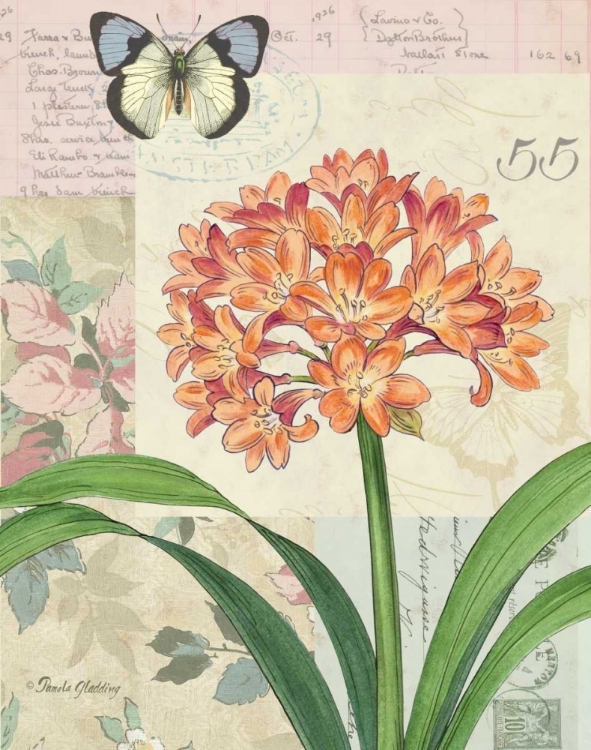 Picture of CLIVIA FLORAL COLLAGE