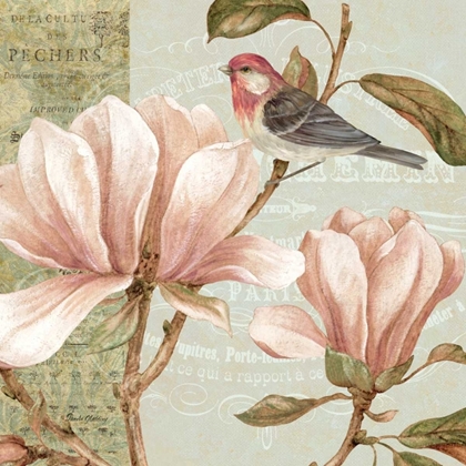 Picture of MAGNOLIA COLLAGE I