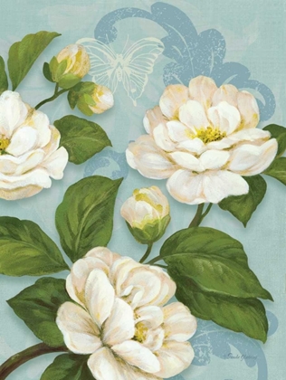Picture of CAMELLIAS