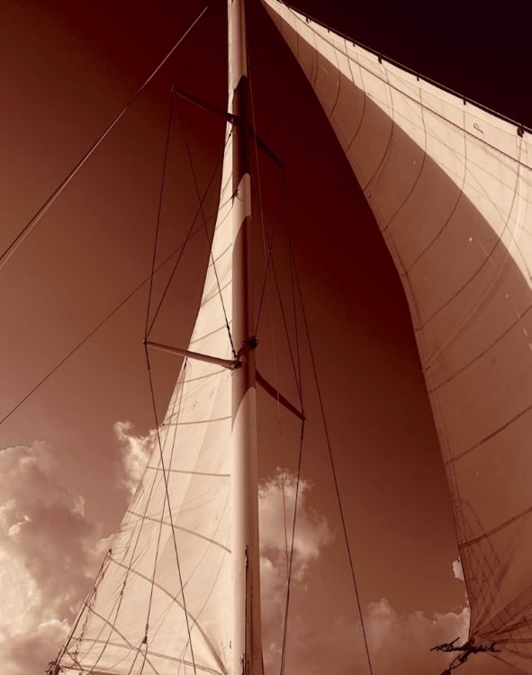 Picture of WINDWARD SAIL IV