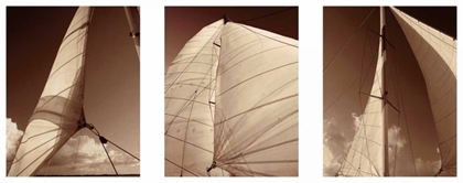 Picture of WINDWARD SAILS TRIPTYCH