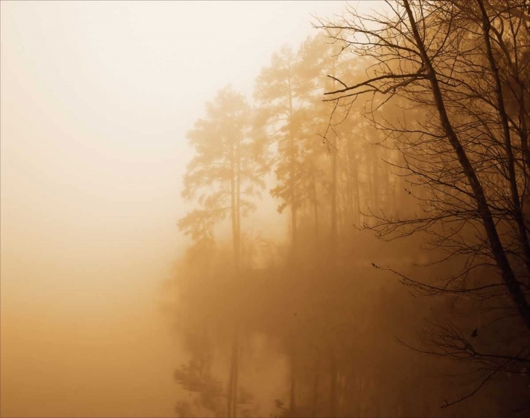Picture of FOG ON SHELLY LAKE I