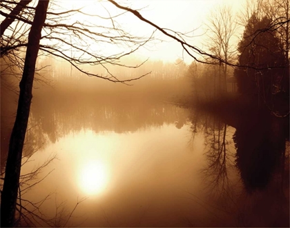 Picture of FOG ON SHELLY LAKE II