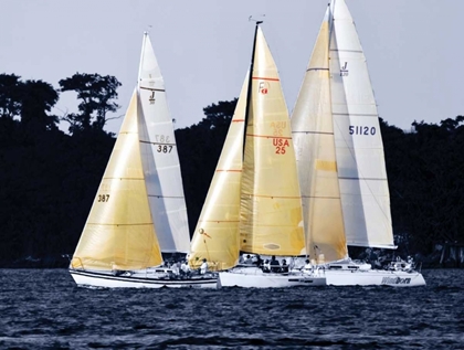 Picture of RACE AT ANNAPOLIS I