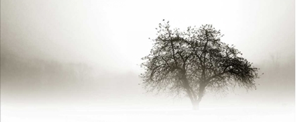 Picture of IN THE MIST I