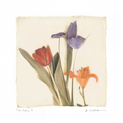 Picture of TRE FIORI I