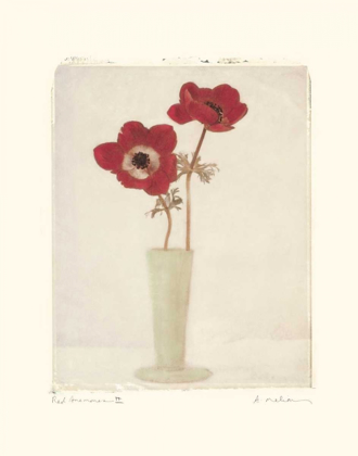 Picture of RED ANEMONES II