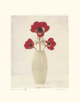 Picture of RED ANEMONES IV