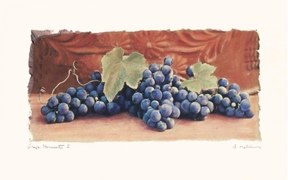 Picture of GRAPE HARVEST I
