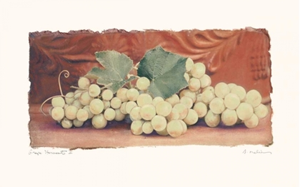 Picture of GRAPE HARVEST II