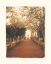 Picture of GIARDINO II