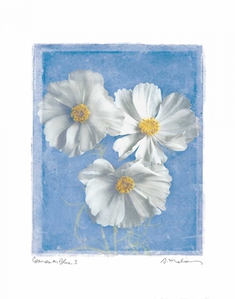 Picture of COSMOS ON BLUE I