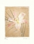 Picture of LILY