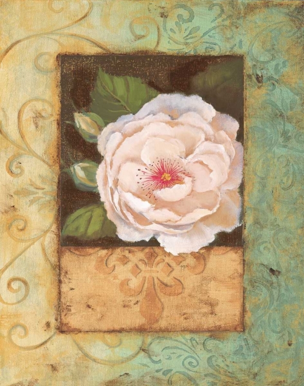 Picture of ANTIQUE ROSE II