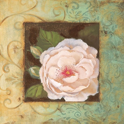 Picture of ANTIQUE ROSE IV