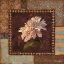 Picture of DAHLIA II