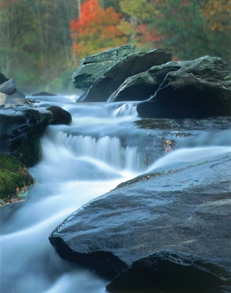 Picture of MOVING WATER I