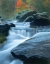 Picture of MOVING WATER I