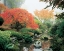 Picture of JAPANESE GARDEN I