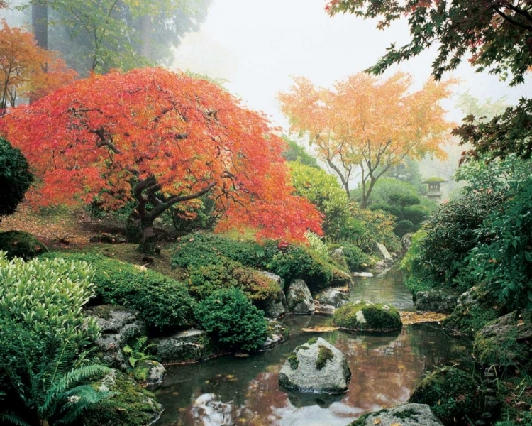 Picture of JAPANESE GARDEN I