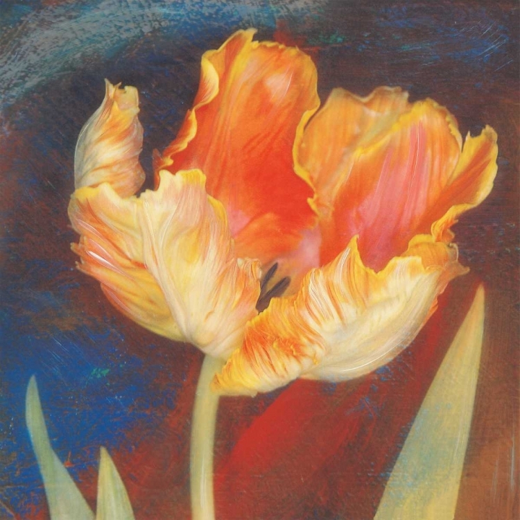 Picture of DUSK TULIP I