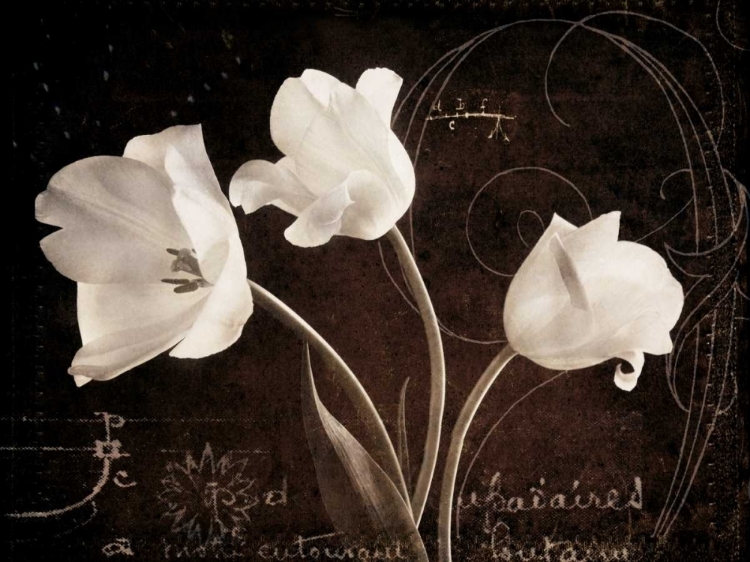 Picture of GARDEN LOVE LETTER II