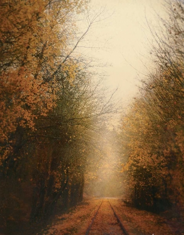 Picture of ROAD OF MYSTERIES I