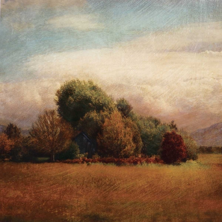 Picture of AUTUMN HORIZON I