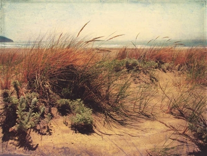 Picture of SAND DUNES I