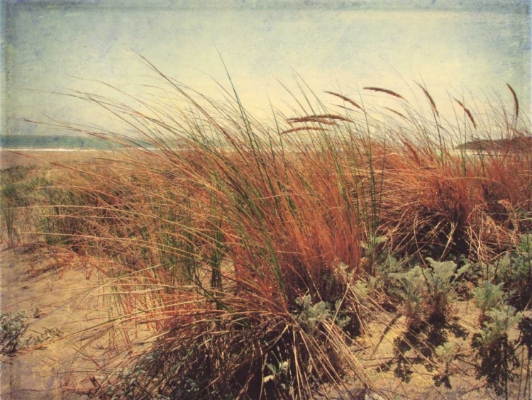 Picture of SAND DUNES II