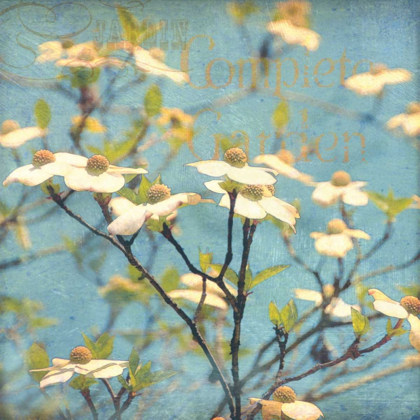 Picture of DOGWOOD I