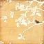 Picture of SONG BIRDS V