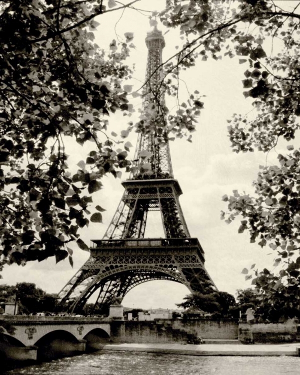 Picture of EIFFEL TOWER II