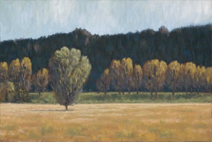 Picture of COTTONWOOD COUNTRY I