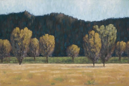 Picture of COTTONWOOD COUNTRY II