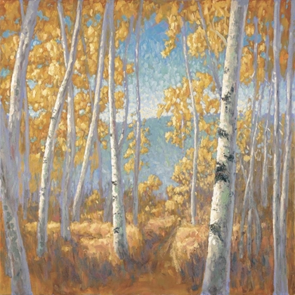 Picture of FALL ASPEN I